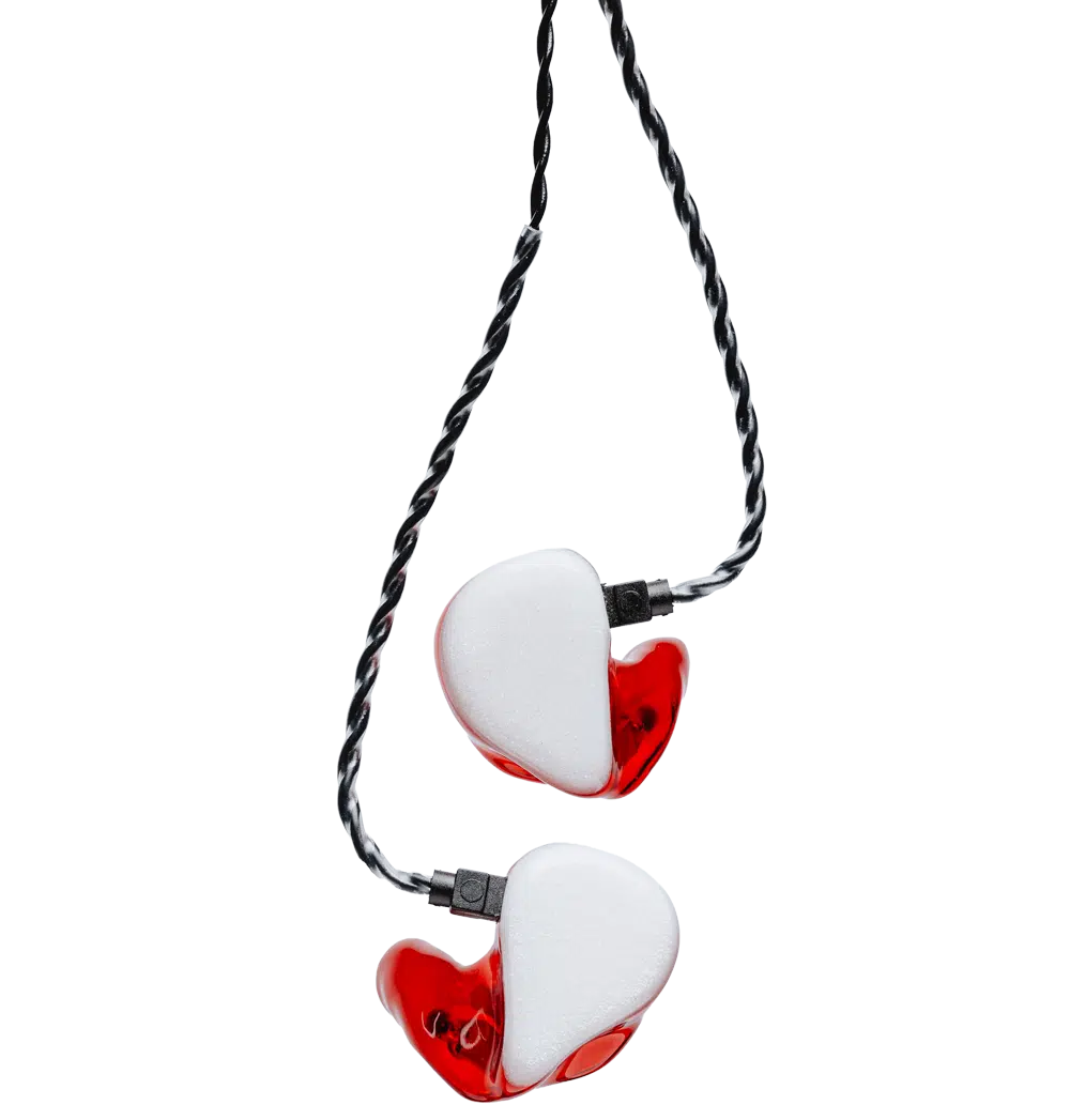 custom in ear monitor image - hanging - inner ears